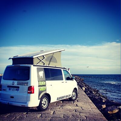 boys black and white vans